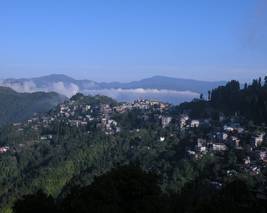 Demo Image